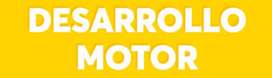 DESARROLLO MOTOR